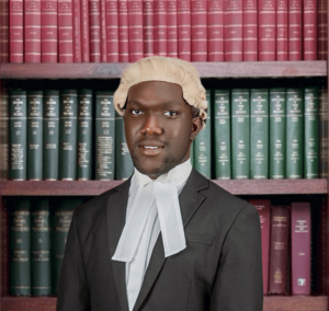 Oluwatobi Ayodeji Onafuwa<h6 style="padding-top: 2px;color: #444;font-size: 0.6em">LLB (HONS), BL.</h6>